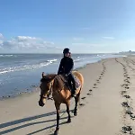 Vitamin Sea Nyaraló Oostduinkerke