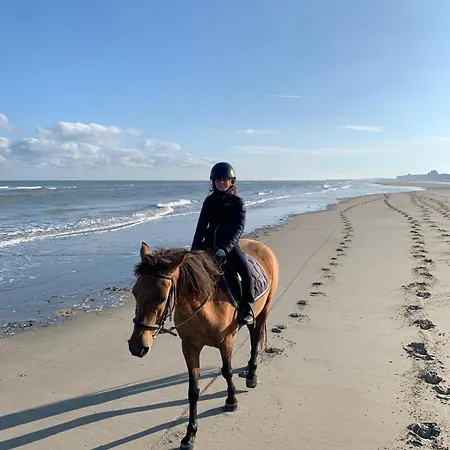 Vitamin Sea Prázdninový dům Oostduinkerke