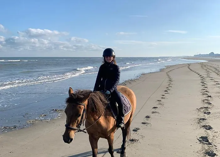 Vitamin Sea 別荘 オーストダインケルケ