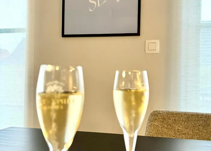 別荘 Vitamin Sea オーストダインケルケ